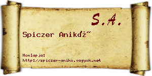Spiczer Anikó névjegykártya